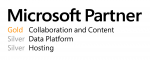 Microsoft Partner